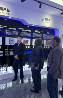 Win-Win Cooperation in Sight: SEFON Warmly Receives Tanzanian Clients To Expl...