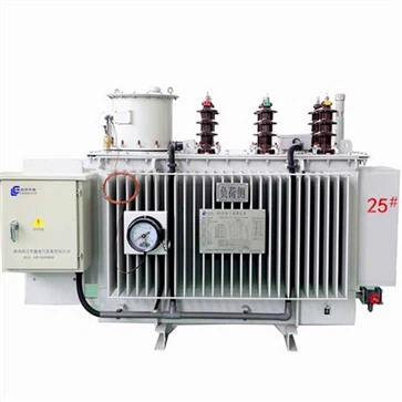 10kV SVR Automatic Step Voltage Regulator